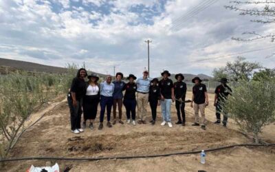 From launch to action: Central Karoo youth build pathways to green enterprise
