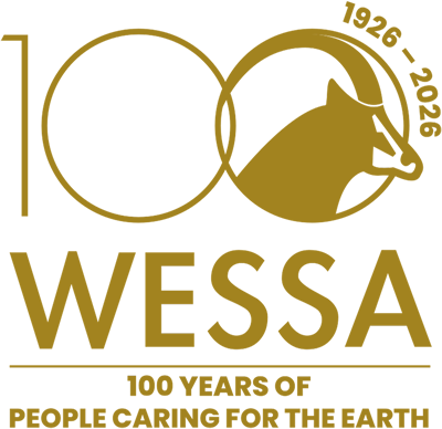 100th anniversary logo