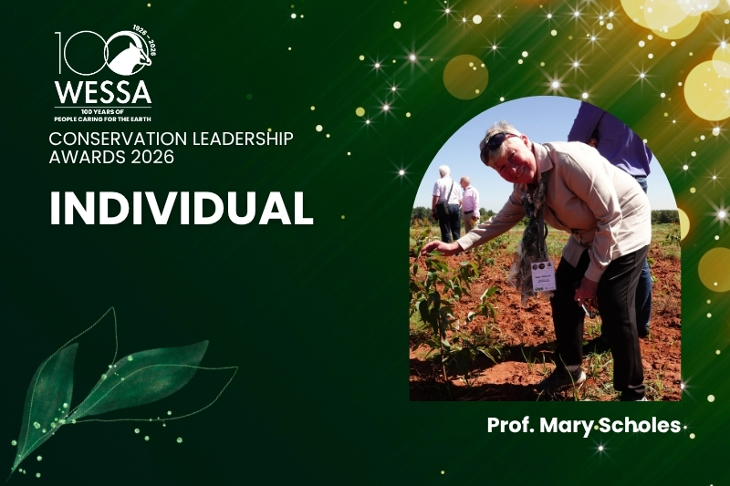 Prof Mary Scholes