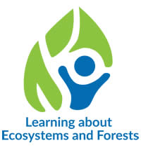 LEAF logo